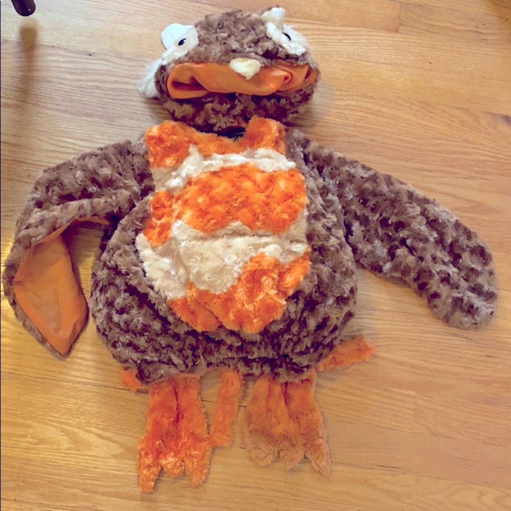 Owl Halloween Costume